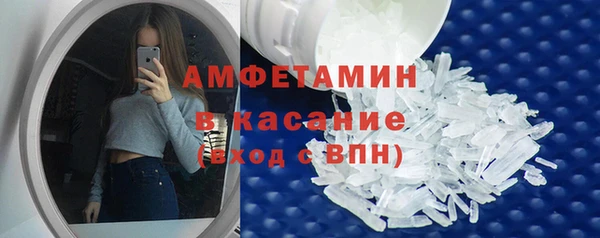 сатива Лабытнанги