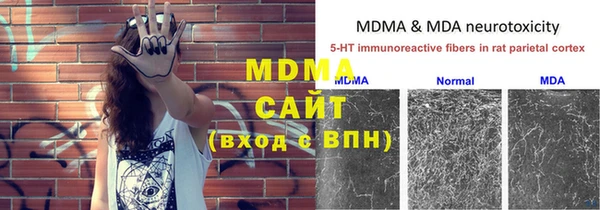 сатива Лабытнанги